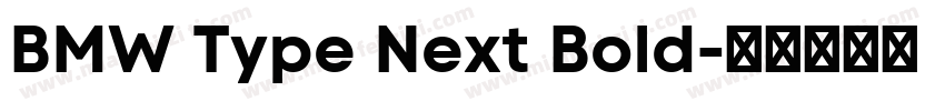 BMW Type Next Bold字体转换